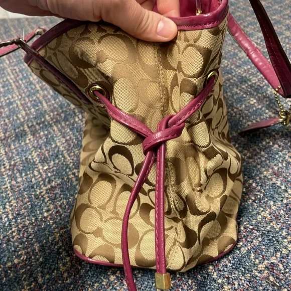 Used Coach Signature Python Stripe Carry-All